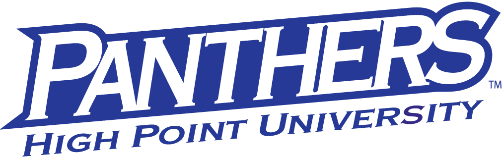 High Point Panthers 2004-2012 Wordmark Logo diy iron on heat transfer